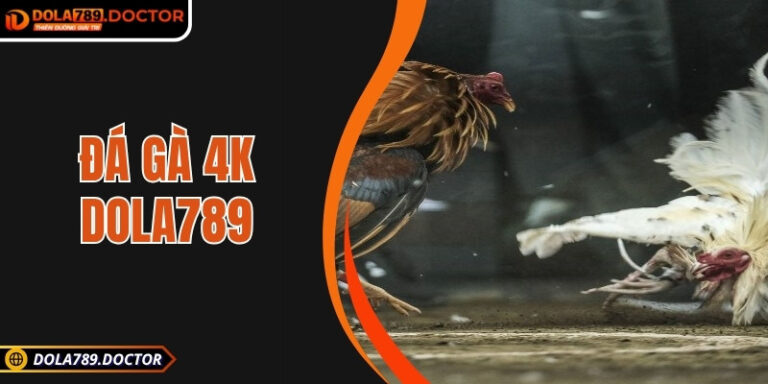 Đá gà 4K DOLA789 – Trận đấu kịch tính, hình ảnh sắc nét