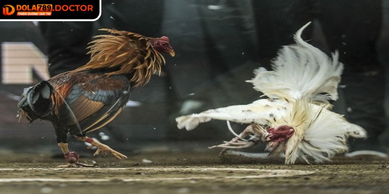  Áp dụng những quy định nghiêm ngặt để giữ sự minh bạch