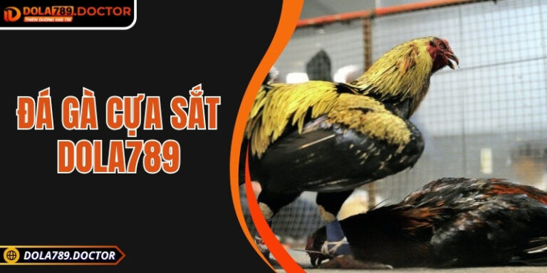 Đá gà cựa sắt DOLA789 – Hấp dẫn từng pha ra đòn, an toàn