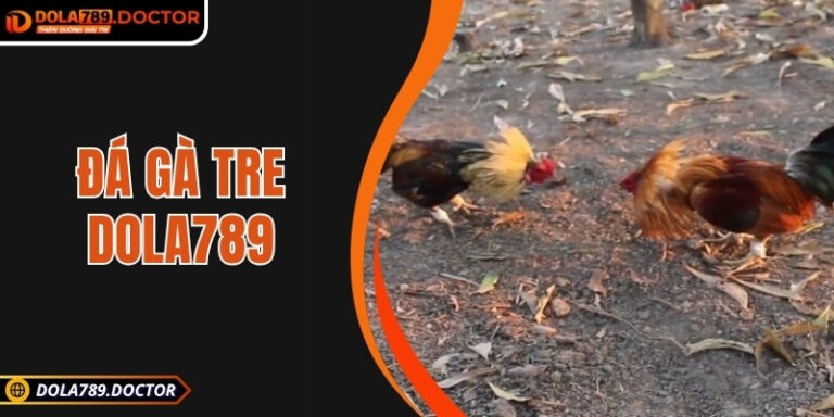 Đá gà tre DOLA789 – Trận đấu kịch tính, cược minh bạch
