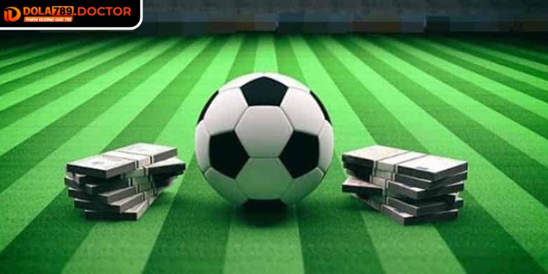 Cảm xúc chỉ nên là chất xúc tác, không phải cơ sở ra quyết định