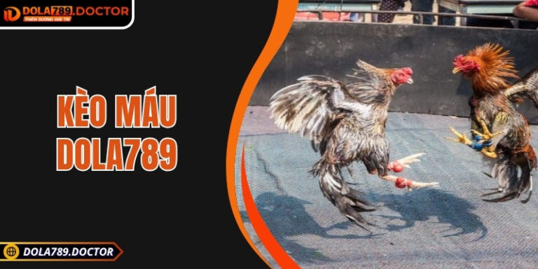 Kèo máu DOLA789 – Trải nghiệm cược đá gà đầy kịch tính