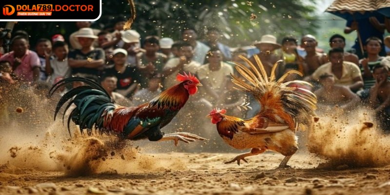 Kèo máu thường có tỷ lệ thưởng cao hơn các loại khác