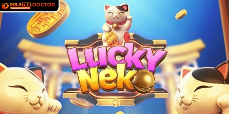 Giới thiệu vài nét về mèo chiêu tài DOLA789